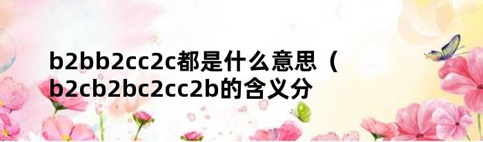 b2bb2cc2c都是什么意思（b2cb2bc2cc2b的含义分别是什么）